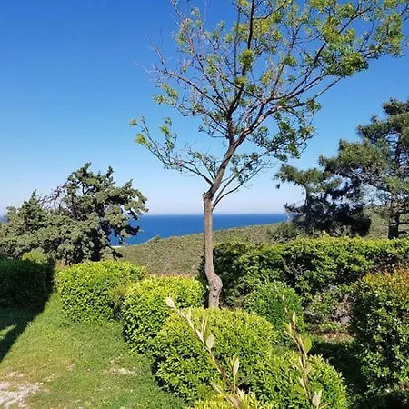 Seaview * Banyuls-sur-Mer